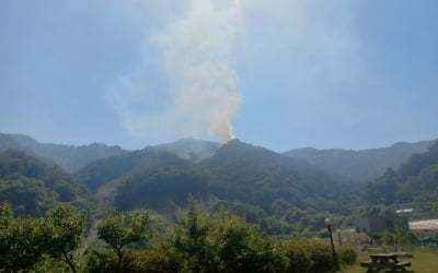 제천 백운면 야산서 화재…산림 1천㎡ 태워