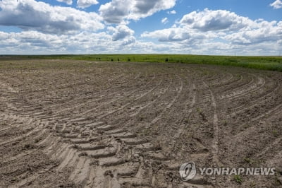 서방 당국자들 "우크라 전쟁발 세계 식량위기 2년 이상 지속"