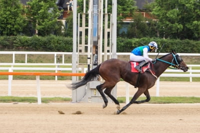 지역 목장서 국내 최초 암말 삼관마 배출…한국 경마산업 들썩