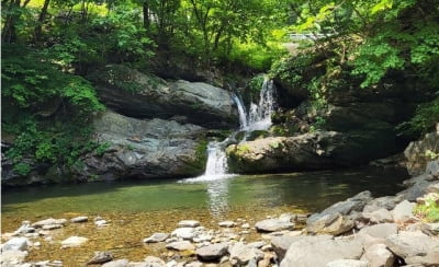 강원도 물놀이지역 38곳 수질 모두 '적합'