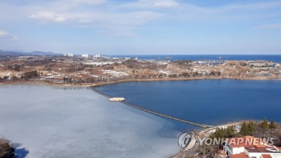 "생태계 영향 속초 영랑호 부교 철거 여부 재판부 결정 따른다"