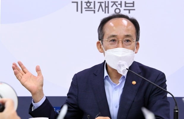 추경호 경제부총리 겸 기획재정부 장관. 사진=뉴스1