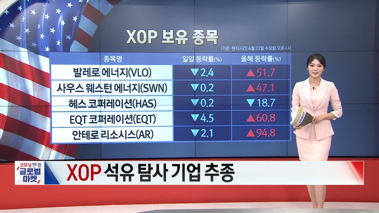 6월 23일 ETF 시황...ARKG·EDV 강세