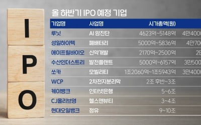 올여름도 뜨거운 IPO 시장…쏘카·WCP·K뱅크 등 兆단위 대어 출격