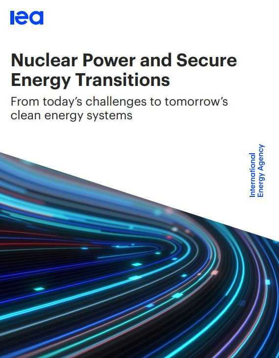 국제에너지기구(IEA)가 6월 30일 발간한 ‘원자력과 안정성 있는 에너지 전환(Nuclear Power and Secure Energy Transitions)’ 보고서.  /IEA 홈페이지