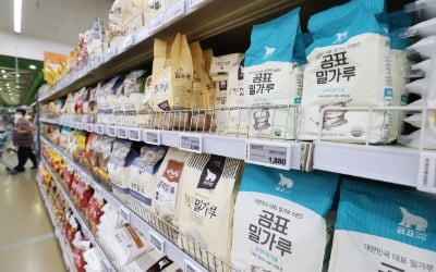 밀가루 가격이 왜 이래…정부, 밀가루 가격 상승분 70% 지원