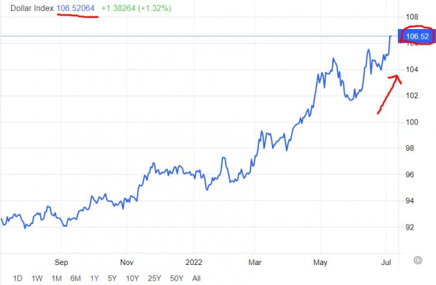 미국 외환시장에서 달러인덱스는 106을 돌파했다. 2002년 이후 20년만에 가장 강해졌다. 트레이딩이코노믹스 제공
