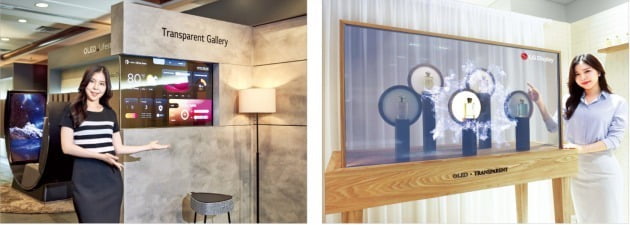 LG디스플레이 직원이 투명 OLED로 만든 투명 갤러리(왼쪽)와 투명 쇼케이스(오른쪽)를 소개하고 있다.