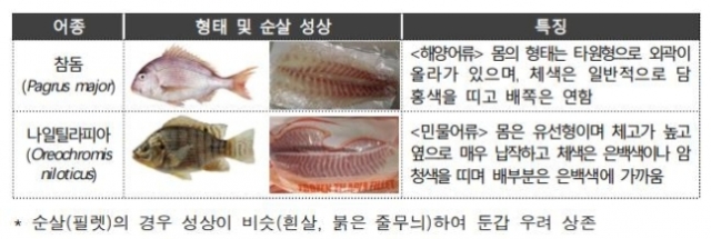 민물고기를 참돔으로 속여 판 사례. / 사진=식약처