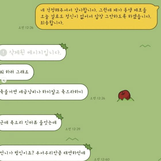 서울 지하철 9호선 가양역 인근에서 실종된 김가을(24)씨의 친언니가 악성 메시지로 인한 고통을 호소했다. / 사진=인스타그램