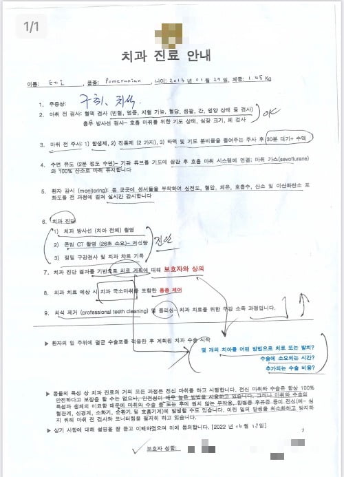 테오의 치과 진료 안내문 / 사진=테오 보호자 제공