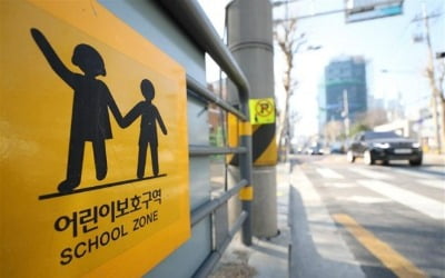 "어린이보호구역 내 일시정지 의무 강화"…도로교통법 '갑론을박'