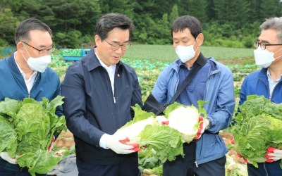 정황근 농식품부 장관, 여름 채소 수급 상황 현장점검