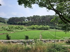 [한경 매물마당] 인천 남구 대단지 아파트 1층 상가 등 7건