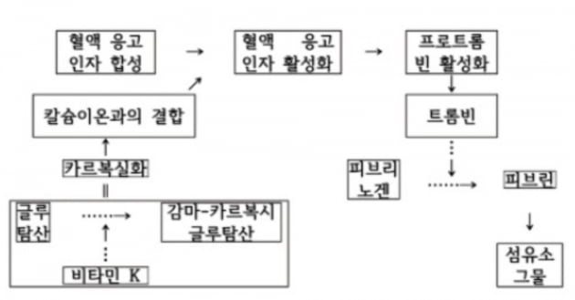 [신철수 쌤의 국어 지문 읽기] 정보를 시간적 순서에 따라 파악할 때 주의할 점은?