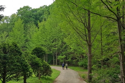 경기 용인시, 김대건 길 등 지역 생활관광지 힐링장소 부상