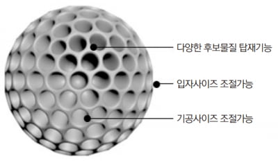 레모넥스, 전신부작용을 최소화한 RNA 의약품 개발