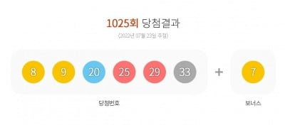 1025회 로또 1등 '8, 9, 20, 25, 29, 33'…보너스 번호 '7'