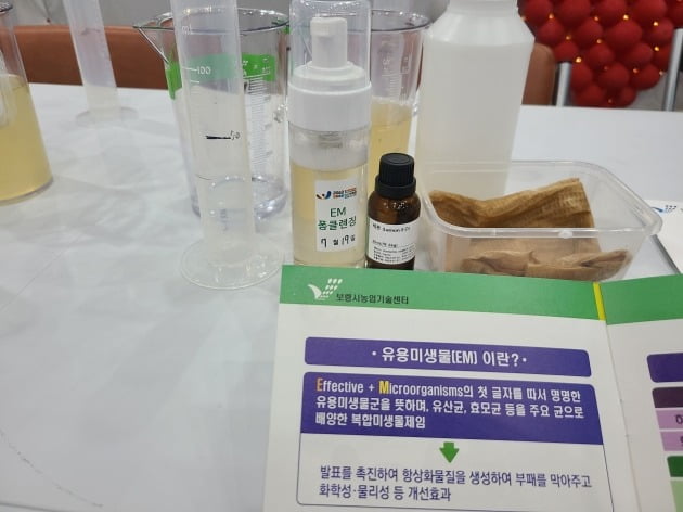 기자가 직접 만든 유용미생물(EM) 폼클렌징