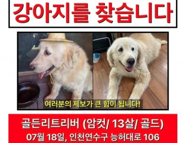 잃어버린 반려견을 애타게 찾던 한 견주가 제작한 전단지. / 사진=온라인 커뮤니티