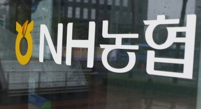 "고객 명의로 49억원 대출"…검찰, 농협 직원 구속 기소