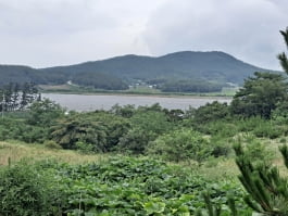 [한경 매물마당] 서산시 대산읍 바닷가 오토캠핑장 등 6건