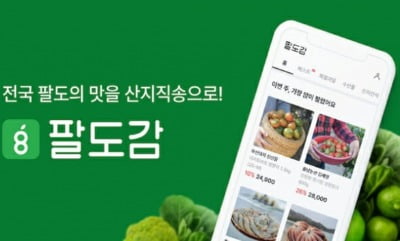 돌아온 휴가 시즌…여행·액티비티·렌터카 플랫폼에 '뭉칫돈' [이번주 VC 투자]