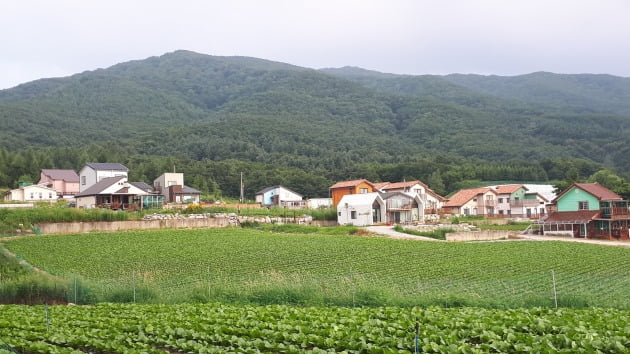 정부가 전원주택 세 부담 기준을 크게 완화하기로 함에 따라 ‘세컨드하우스’에 대한 관심이 늘고 있다. 강원 평창군 대관령면 전원주택 단지.  /한경DB 