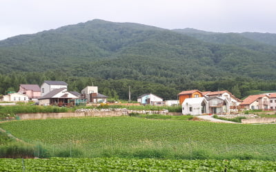 시골집, 양도·종부세 계산서 빠진다…'세컨드하우스' 마련해볼까