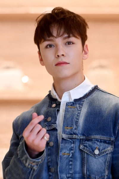  세븐틴 버논, '아이돌 비주얼의 정석'