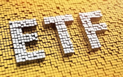 美투자자 '인버스 ETF' 베팅…하루 2억달러 유입