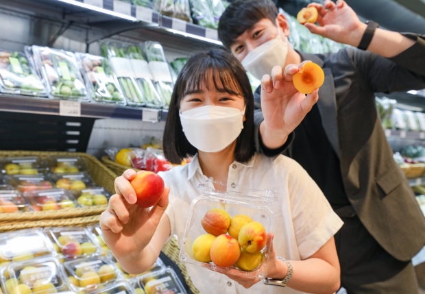 현대백화점, 부드럽고 새콤달콤한 '하모니 플럼코트' 만나보세요~!