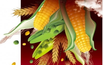 [커버스토리] 밀·콩·옥수수 생산 '뚝'…'식량 대란'은 오는가?