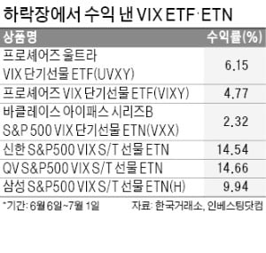 "공포를 산다"…VIX·인버스 상품에 베팅하는 '불개미'