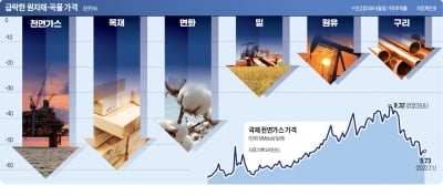 천연가스·목재값 고점 대비 60% '뚝'…"경기침체 조짐 나타나"