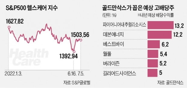 골드만 "지금은 방어 집중할 때…실적주·헬스케어주 담아볼 만"