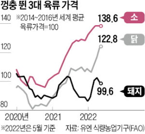 [숫자로 읽는 세상] 우크라發 사료 대란…고기 들어간 제품값 다 뛴다