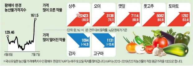 상추 88%·오이 70% 올랐는데…"폭염·폭우 예보, 가격 더 뛴다"