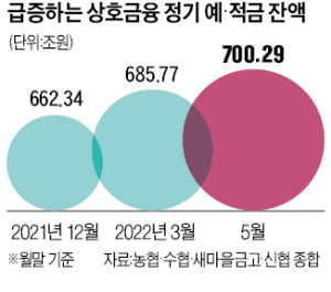 특판금리에 비과세까지…'농·수·신·새' 예적금에 올해 40兆 몰렸다