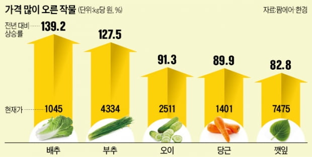 상추 대신 청양고추 내놓는 고깃집…"반찬 리필 때마다 심장이 덜컥"