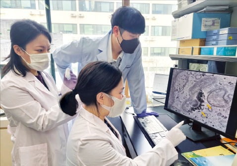 한국생명공학연구원의 연구원들이 특허미생물 연구를 하고 있다. /한국생명공학연구원 