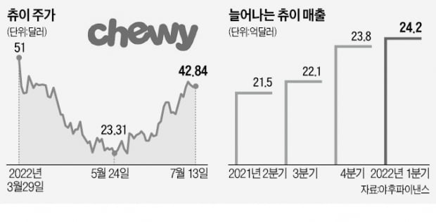 이 와중에 주가 84% '점프'…반려동물 업체 츄이의 질주