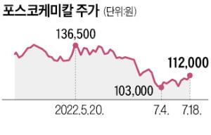 포스코케미칼, 통큰 카지노 찰리에도 주가 '뚝뚝'…사외이사 '줍줍'