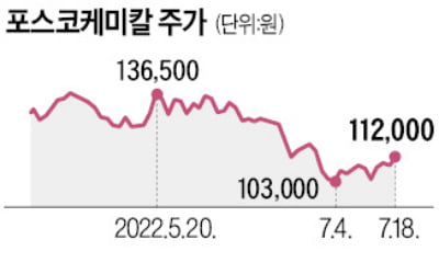 포스코케미칼, 통큰 투자에도 주가 '뚝뚝'…사외이사 '줍줍'