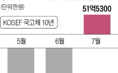 채권 ETF 사들이는 기관…"내년 금리 꺾인다"에 베팅