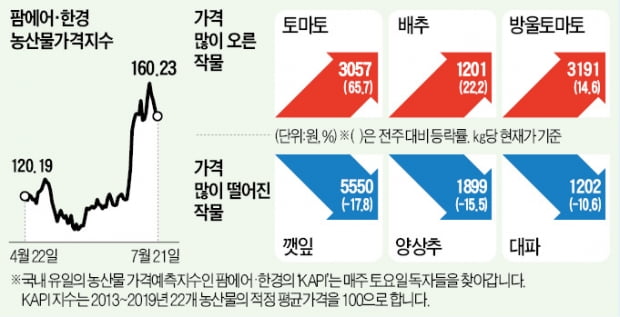 '역대급' 오른 부추·상추값…추석까지도 상승세 이어질 듯