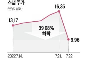 스냅, 실적 부진하자 SNS 관련주 '와르르'