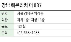 강남 헤븐리치 더 837, 역삼동 투룸 오피스텔…전용률 높아