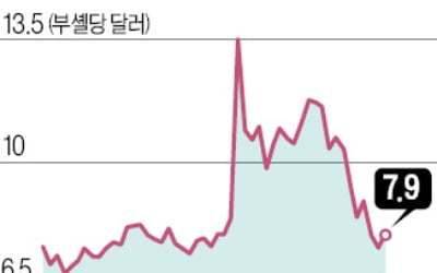 우크라 곡물 수출길 열리자 치솟던 밀값 안정세