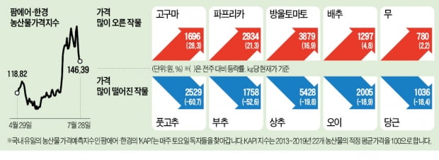 폭염·소나기 직격탄…배추값 한달새 80% '껑충'